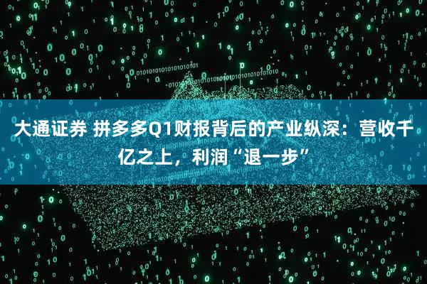 大通证券 拼多多Q1财报背后的产业纵深：营收千亿之上，利润“退一步”
