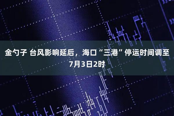 金勺子 台风影响延后，海口“三港”停运时间调至7月3日2时
