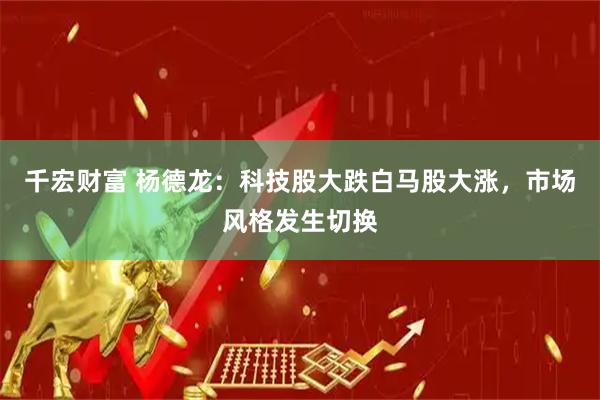 千宏财富 杨德龙：科技股大跌白马股大涨，市场风格发生切换
